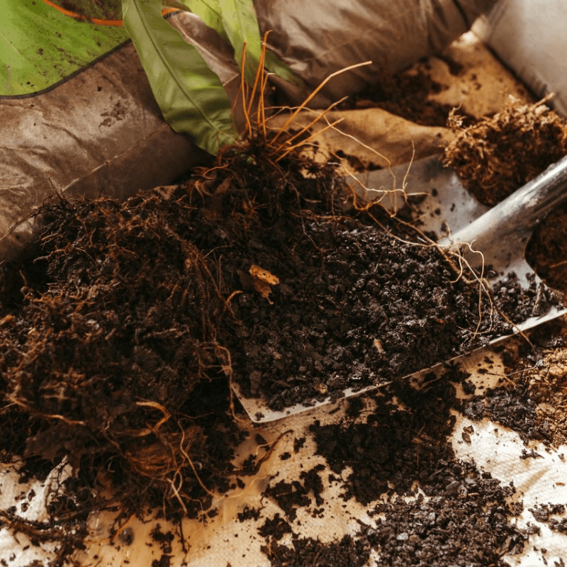 Compost production sites