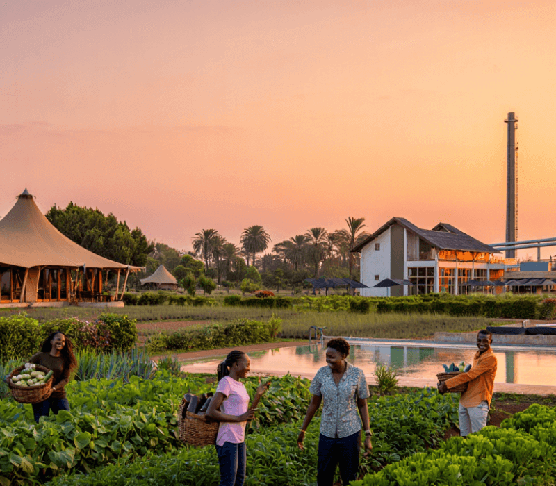 Complexe agro-industriel et de tourisme écologique